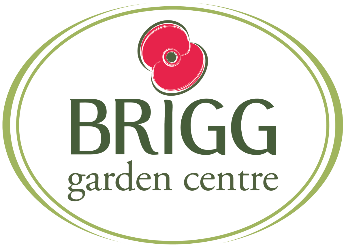 Brigg Garden Centre & Lincoln