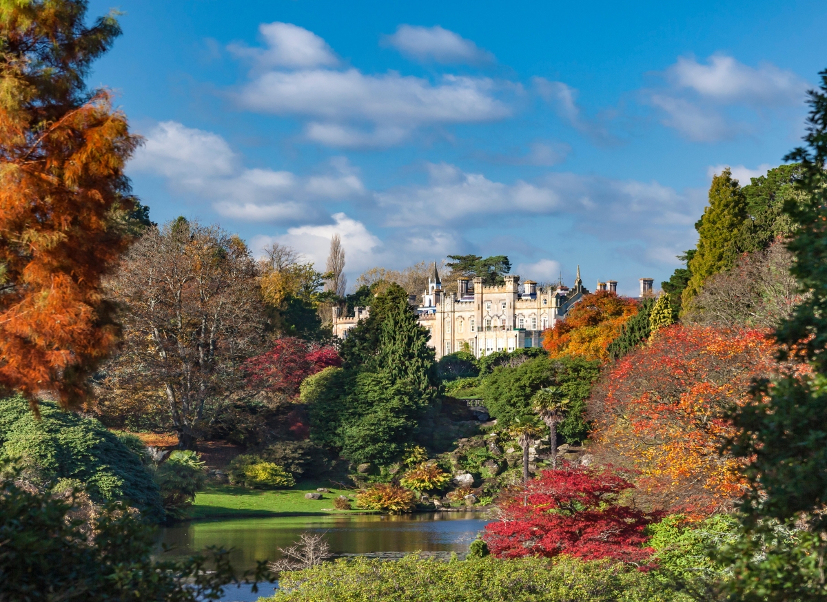 Sheffield - Lunar Christmas New Year Festival